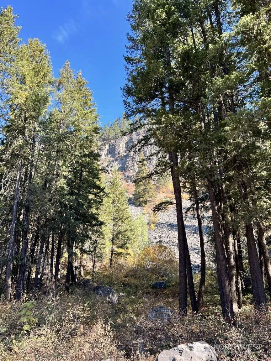 35 Emerson Road Mazama, WA 98833