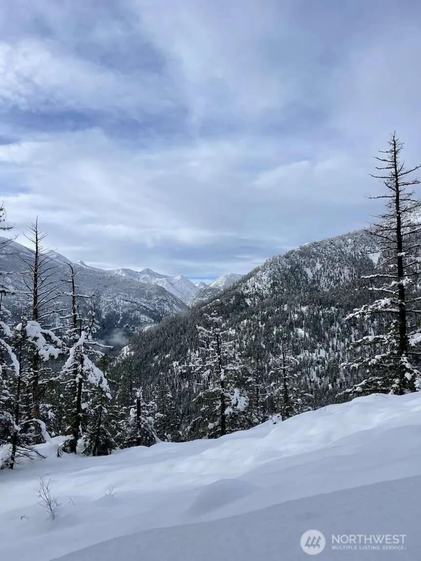35 Emerson Road Mazama, WA 98833