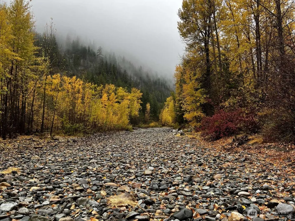 35 Emerson Road Mazama, WA 98833