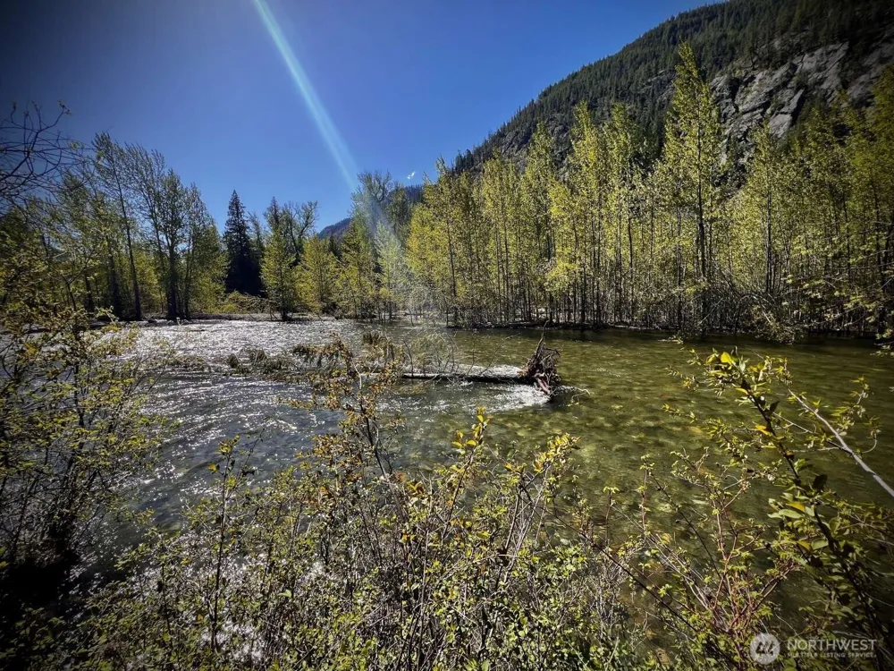 35 Emerson Road Mazama, WA 98833