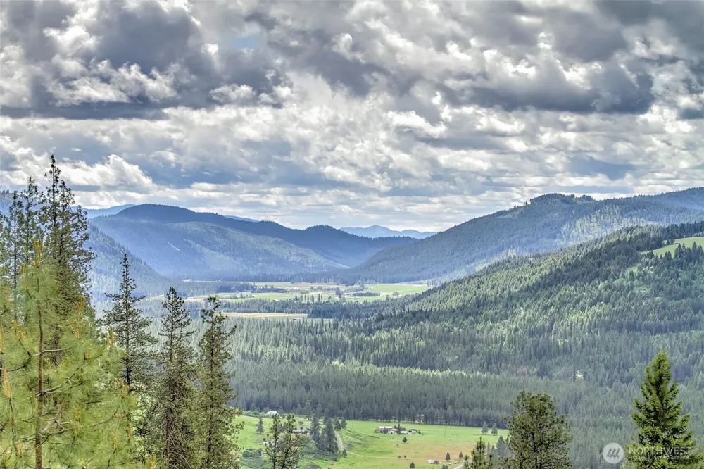 1631 Bonanza Hill Road #P Evans, WA 99126