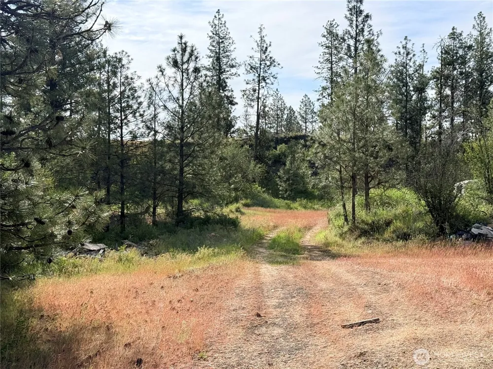 0 Johns Rocky Way E Davenport, WA 99122