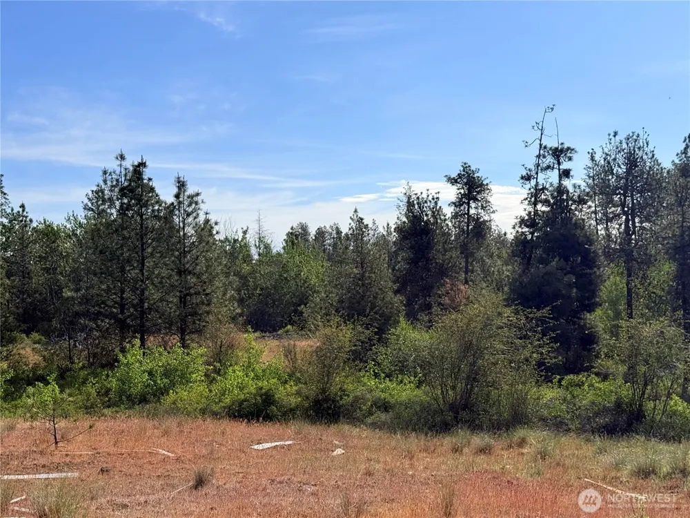 0 Johns Rocky Way E Davenport, WA 99122