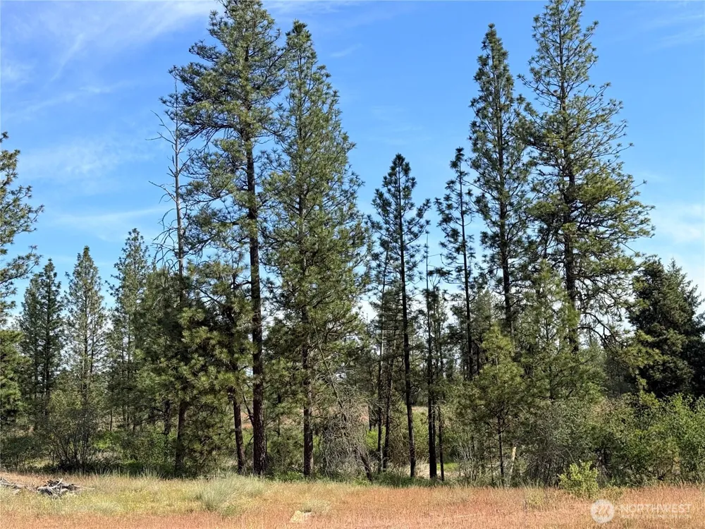0 Johns Rocky Way E Davenport, WA 99122