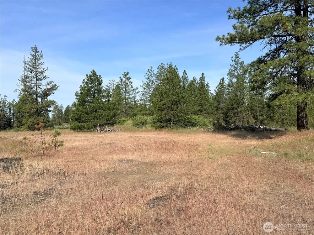 0 Johns Rocky Way E Davenport, WA 99122