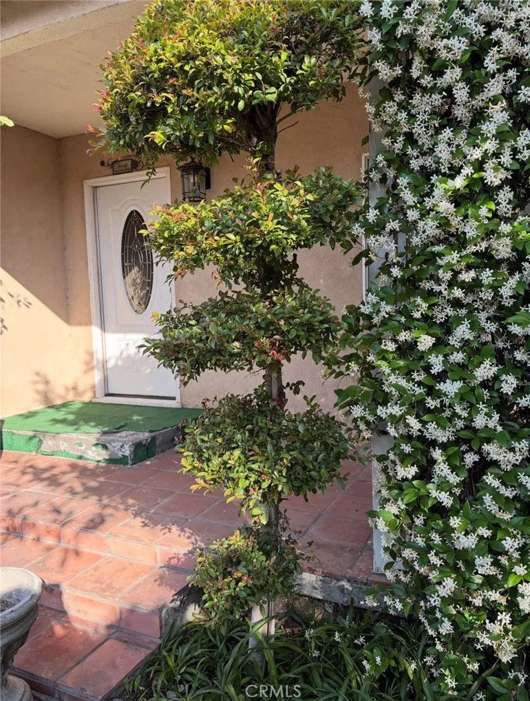 10322 Rincon Avenue Pacoima, CA 91331