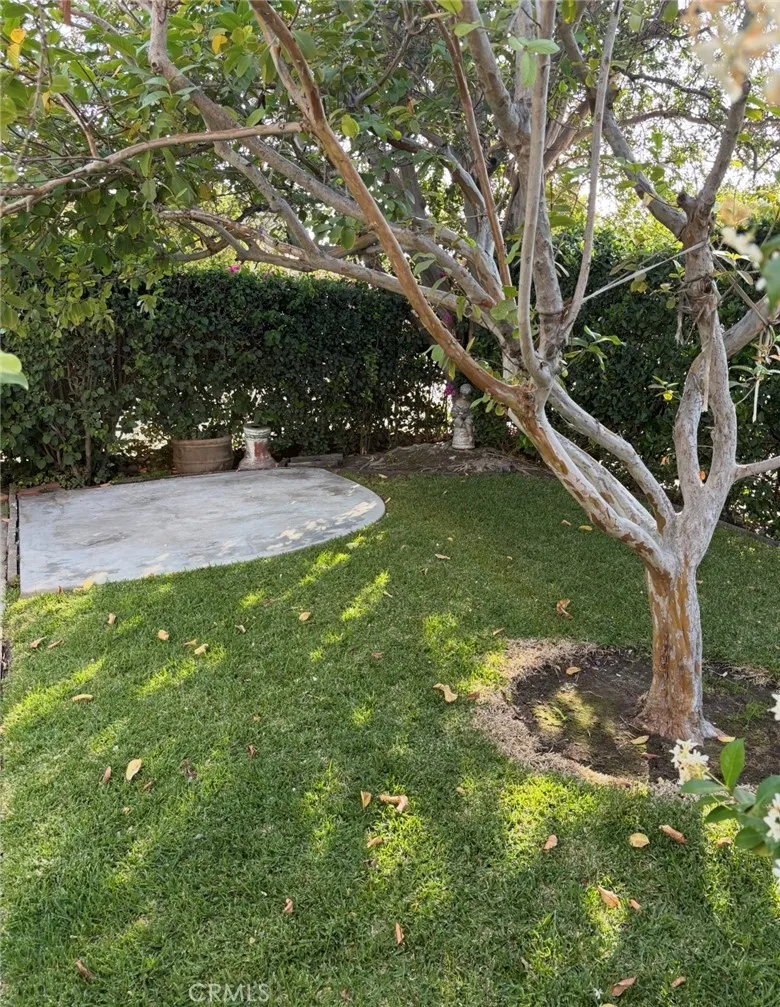 10322 Rincon Avenue Pacoima, CA 91331