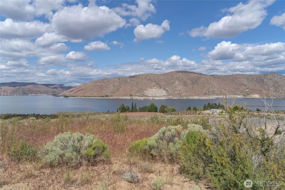45850 FDR Estates Drive Grand Coulee, WA 99133