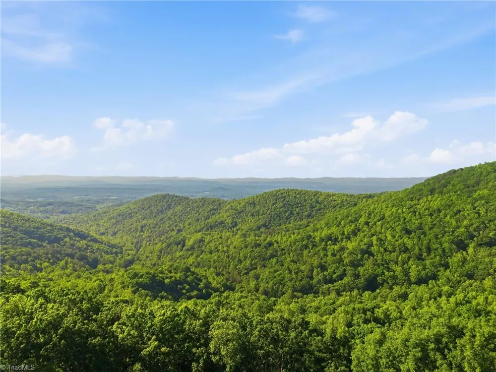 258 Gabriel Way Moravian Falls, NC 28654
