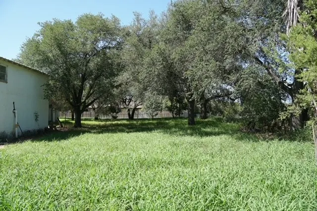 701 Gudron Avenue Hebbronville, TX 78361