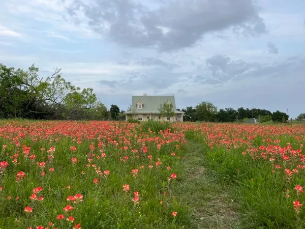 928 Upper Elgin River Road Elgin, TX 78621