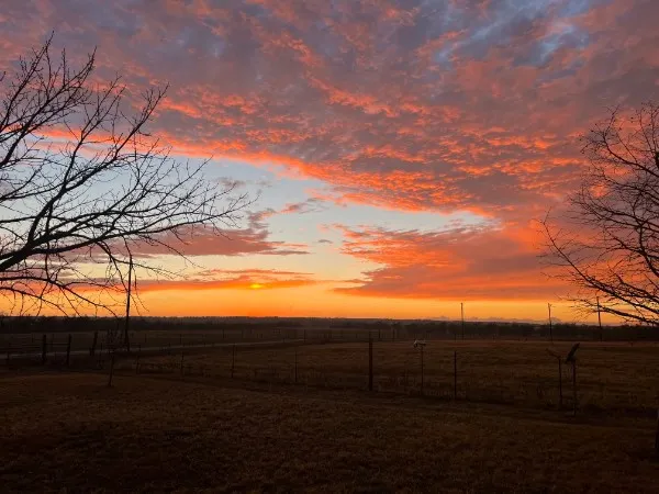 928 Upper Elgin River Road Elgin, TX 78621