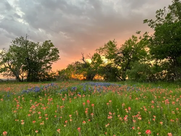 928 Upper Elgin River Road Elgin, TX 78621