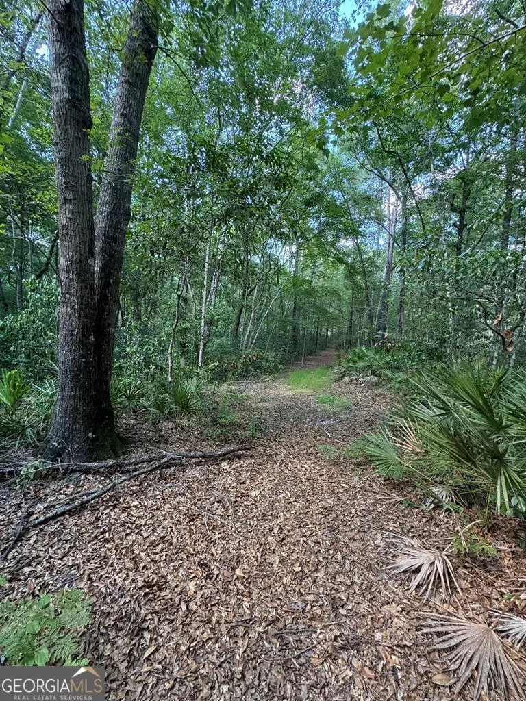 51 Jimmy Boatright DR Hazlehurst, GA 31539