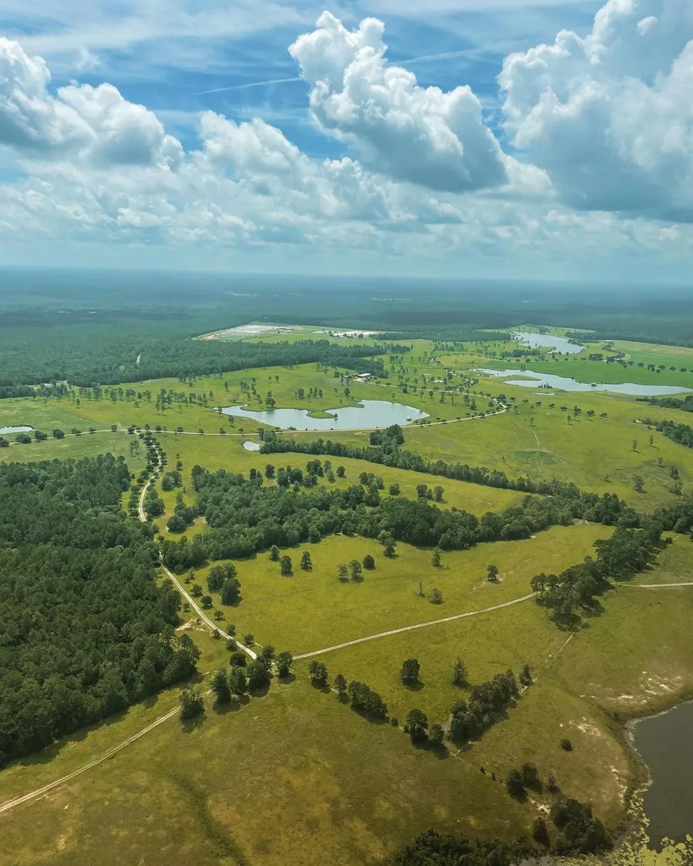 172 Lakeland Ranch Drive Hillister, TX 77624