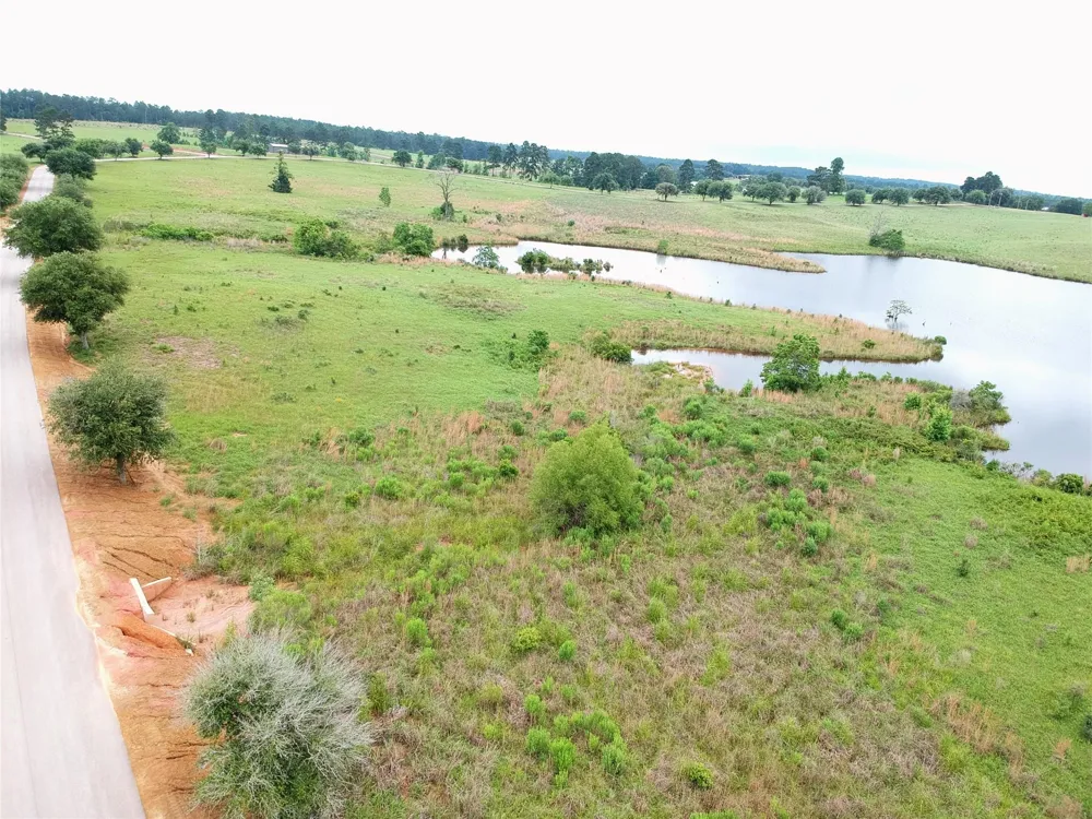 172 Lakeland Ranch Drive Hillister, TX 77624