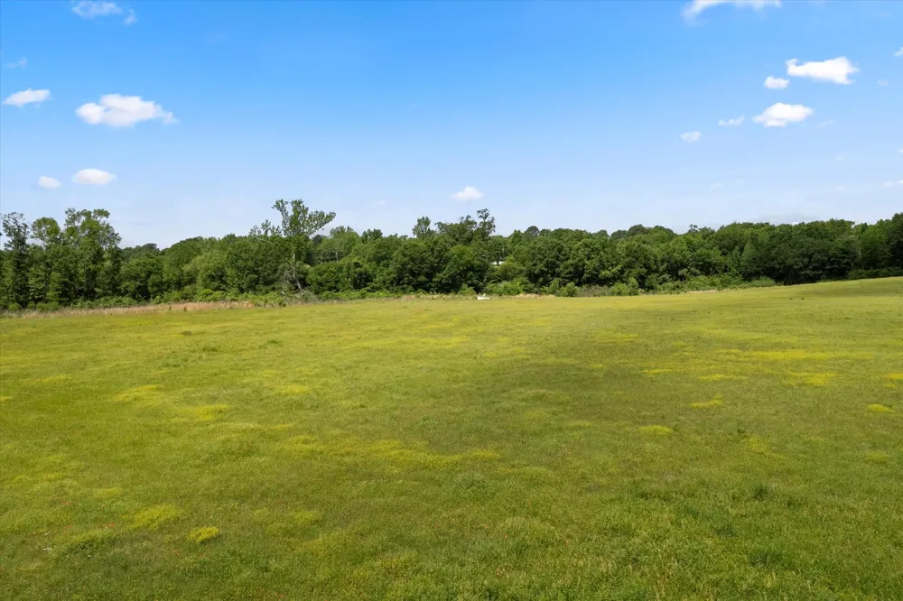 county rd 1309 Pittsburg, TX 75686