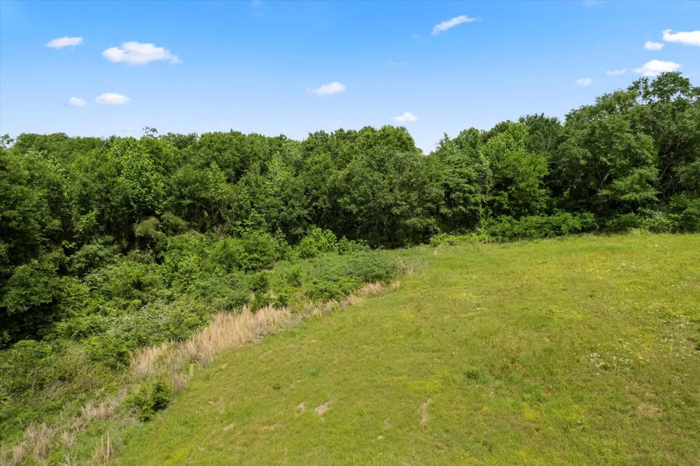 county rd 1309 Pittsburg, TX 75686