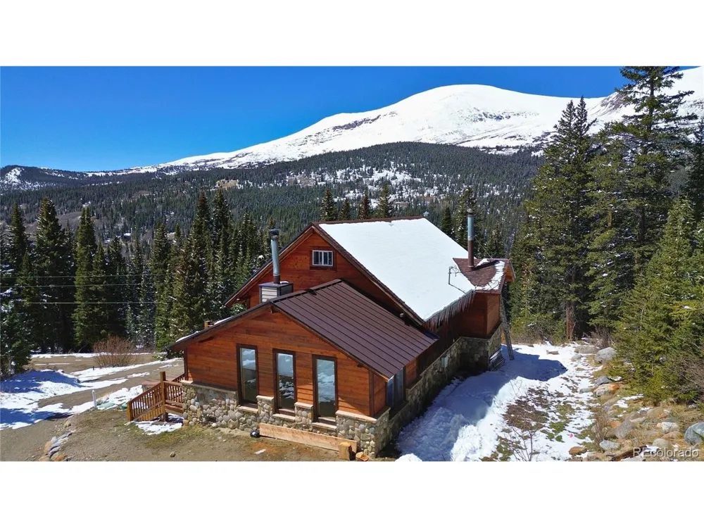 232 Goldfinch Place Alma, CO 80420