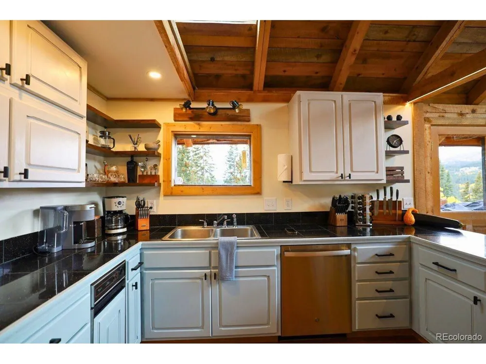 232 Goldfinch Place Alma, CO 80420