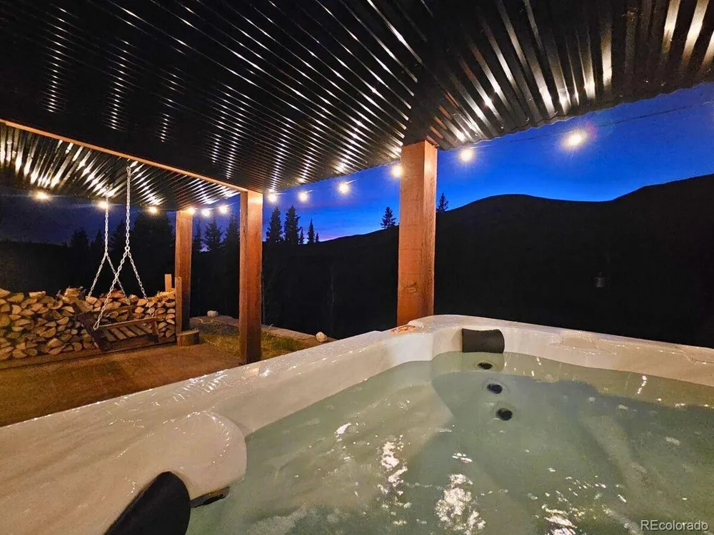 232 Goldfinch Place Alma, CO 80420