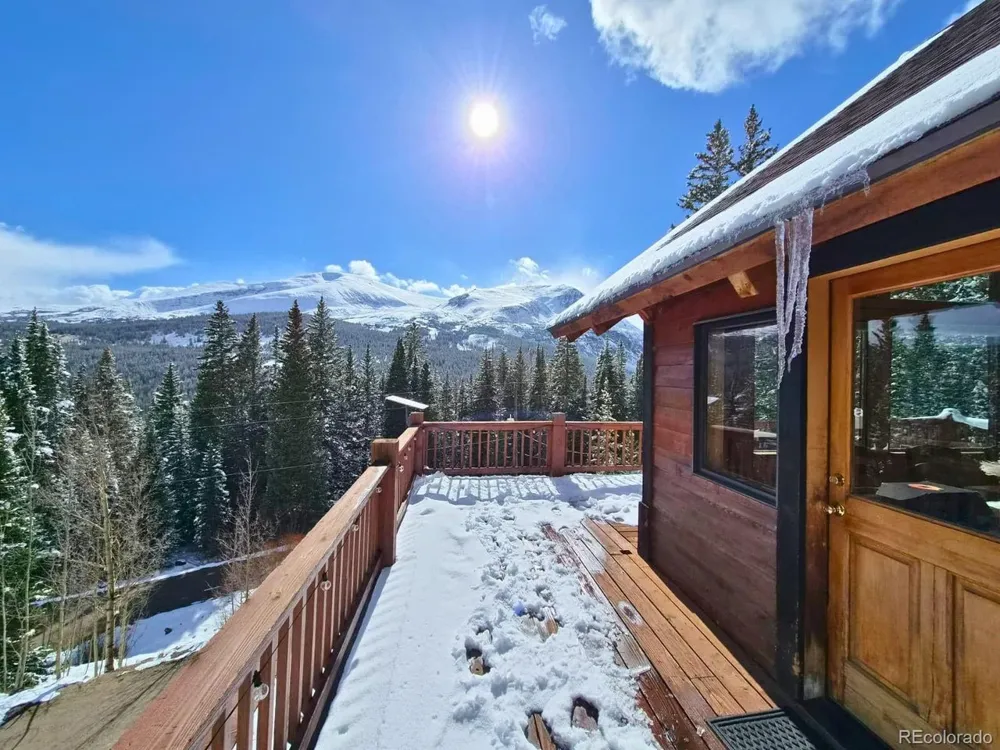 232 Goldfinch Place Alma, CO 80420