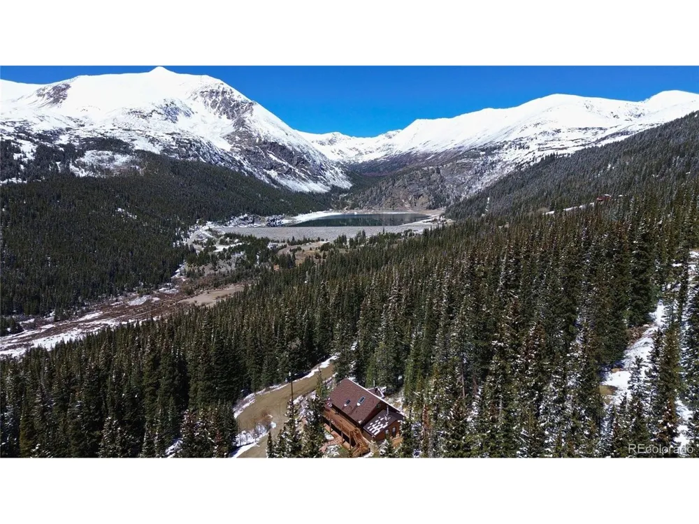 232 Goldfinch Place Alma, CO 80420