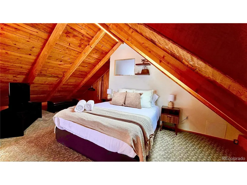 232 Goldfinch Place Alma, CO 80420