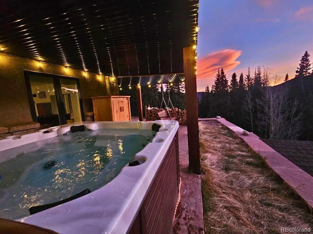 232 Goldfinch Place Alma, CO 80420