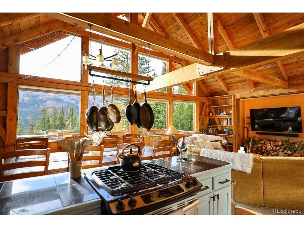232 Goldfinch Place Alma, CO 80420