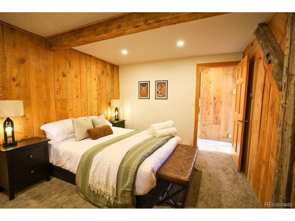 232 Goldfinch Place Alma, CO 80420