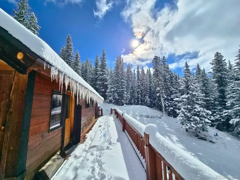 232 Goldfinch Place Alma, CO 80420