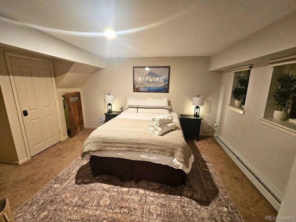 232 Goldfinch Place Alma, CO 80420