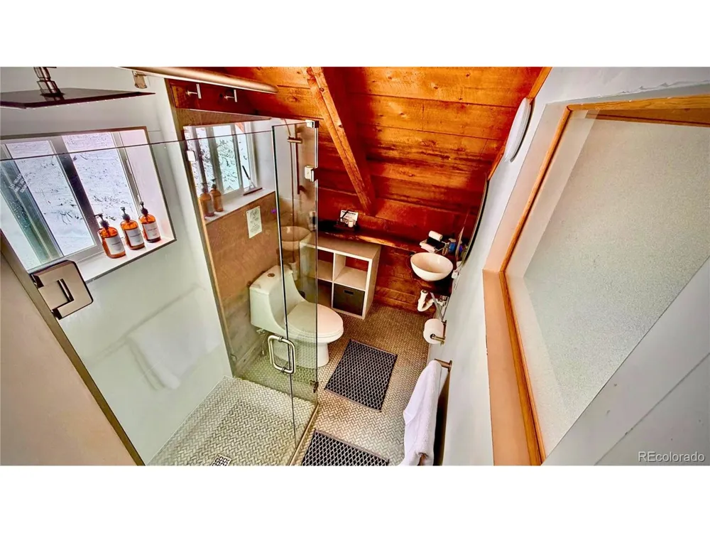 232 Goldfinch Place Alma, CO 80420