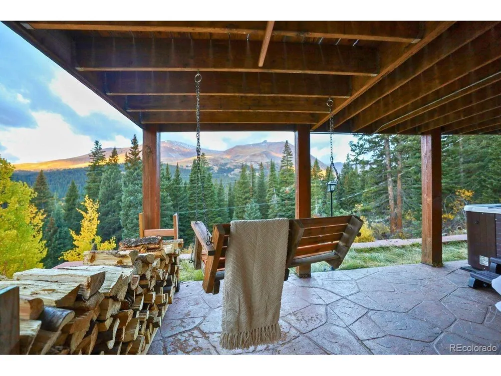 232 Goldfinch Place Alma, CO 80420