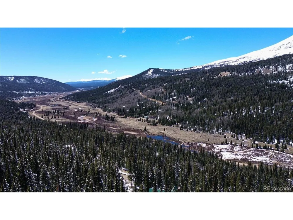 232 Goldfinch Place Alma, CO 80420