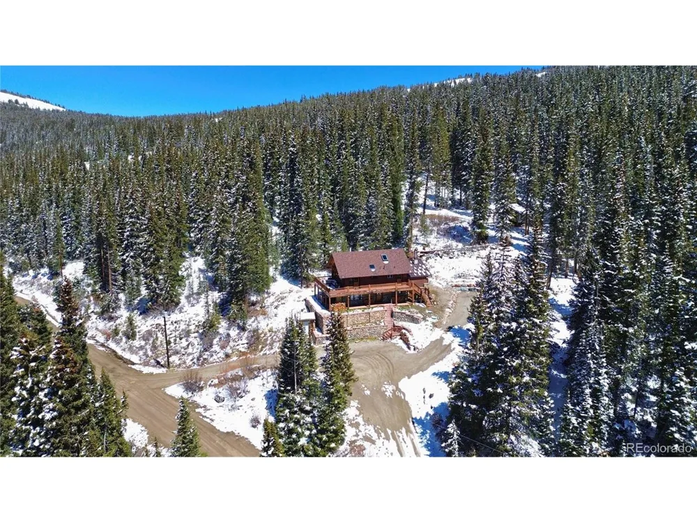 232 Goldfinch Place Alma, CO 80420
