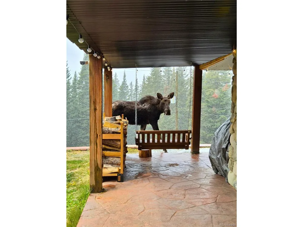 232 Goldfinch Place Alma, CO 80420