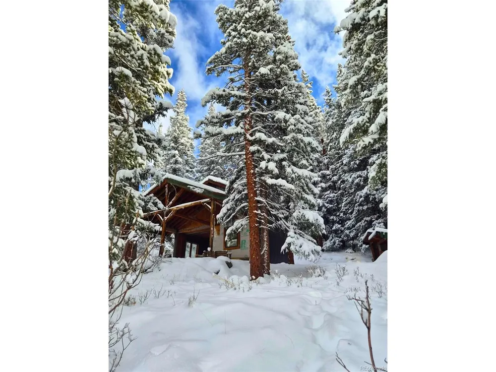 232 Goldfinch Place Alma, CO 80420