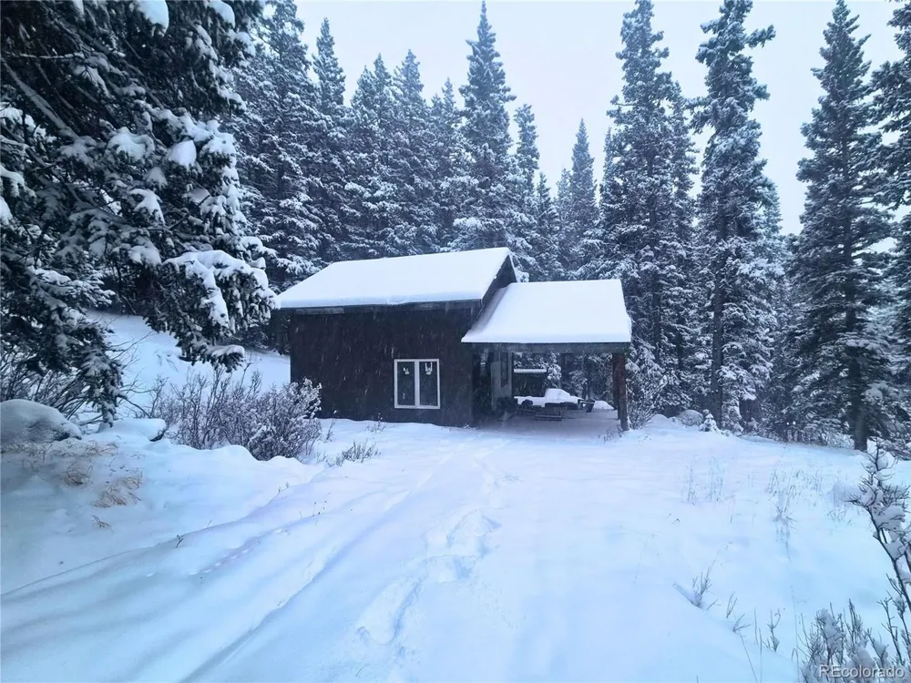 232 Goldfinch Place Alma, CO 80420