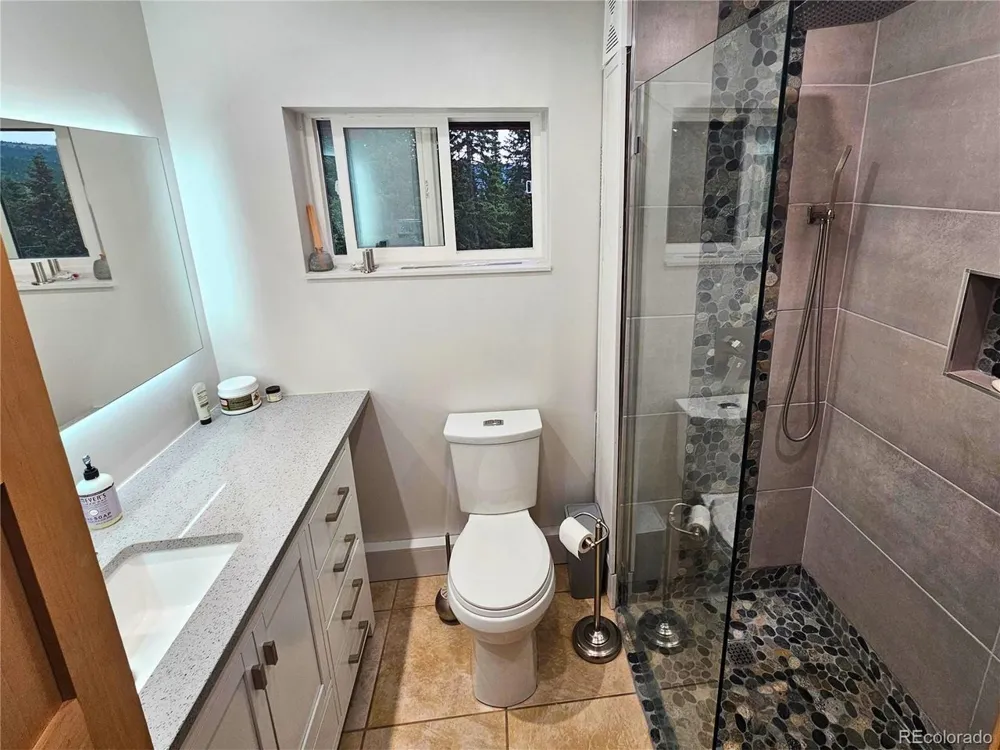 232 Goldfinch Place Alma, CO 80420