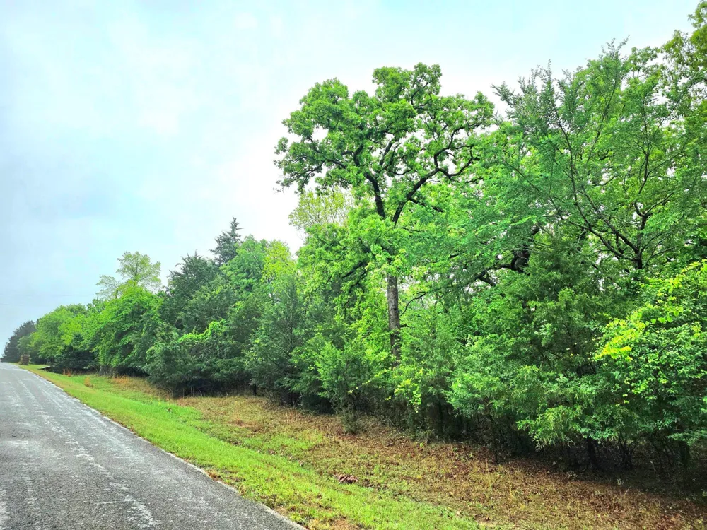 7413 Quail Hollow Court Larue, TX 75770