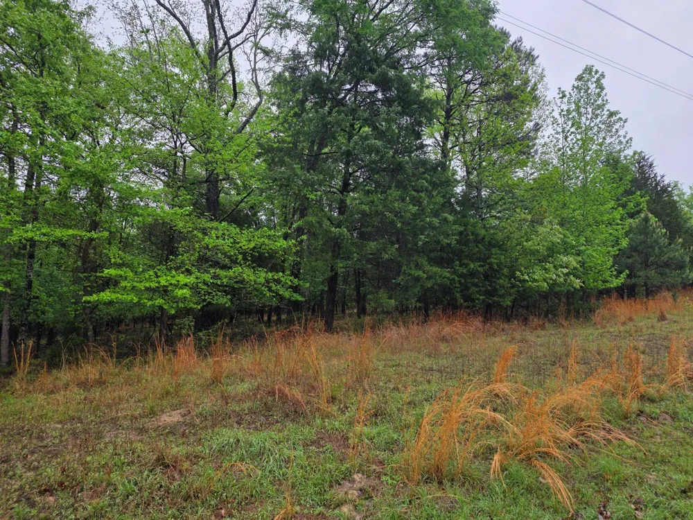7413 Quail Hollow Court Larue, TX 75770