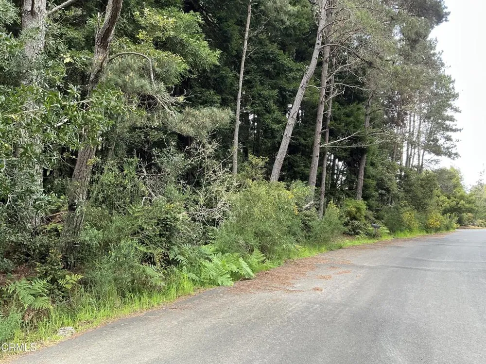 Amethyst Street Fort Bragg, CA 95437