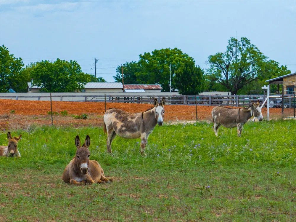 FM 2404 Hawley, TX 79525