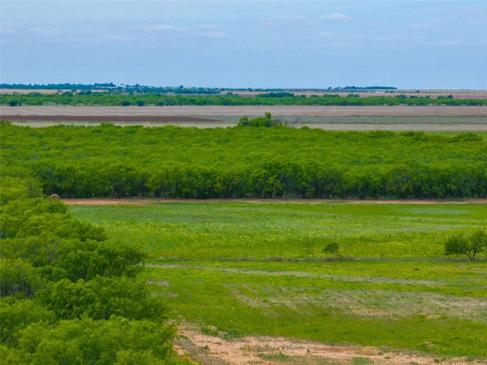 FM 2404 Hawley, TX 79525