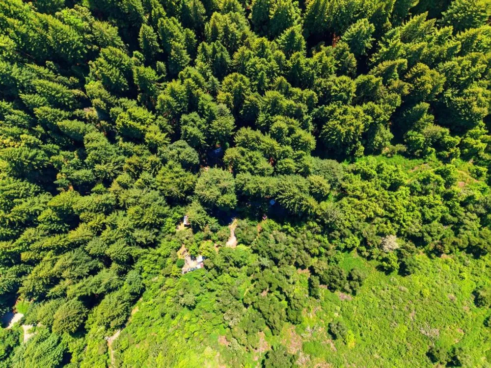 16730 Laurel Road Los Gatos, CA 95033