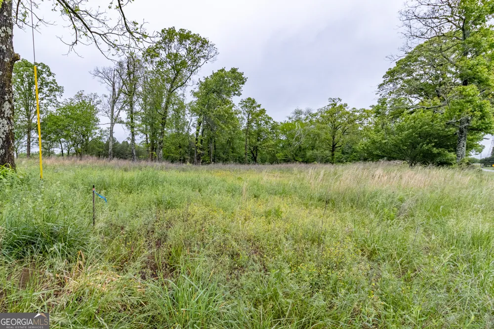 0 Ga 301 HWY Trenton, GA 30752