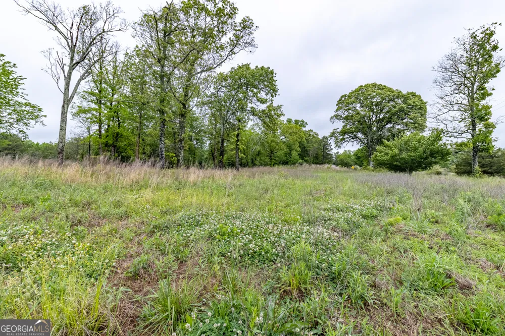 0 Ga 301 HWY Trenton, GA 30752