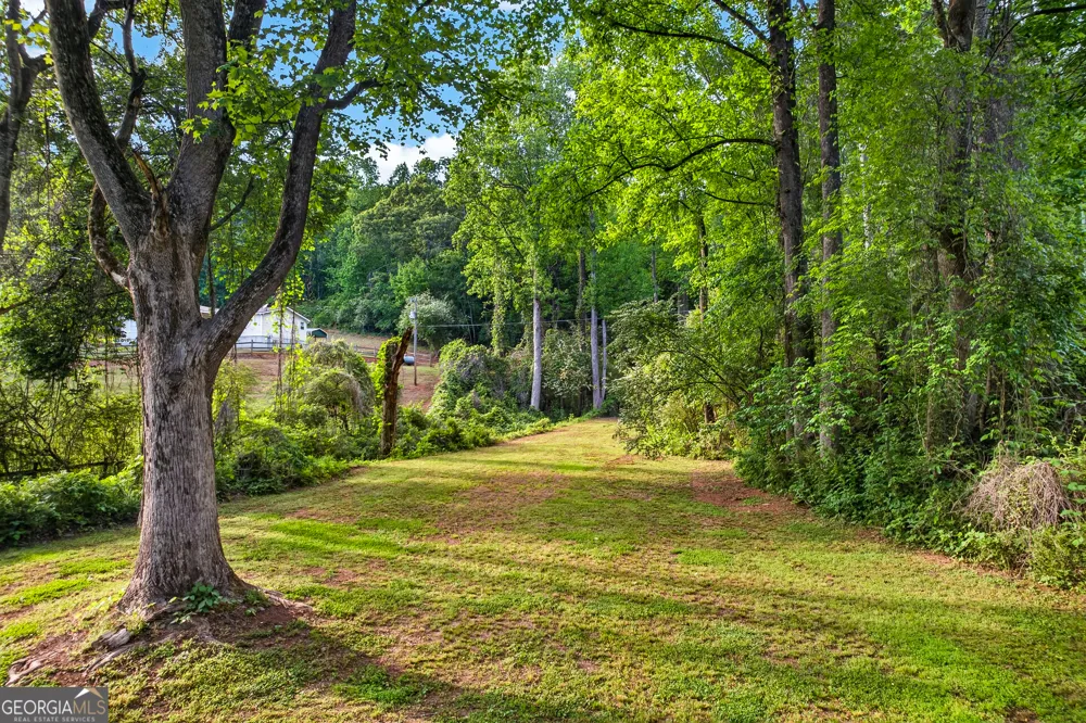 165 Porter Springs RD Dahlonega, GA 30533